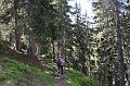 Zillertal 006